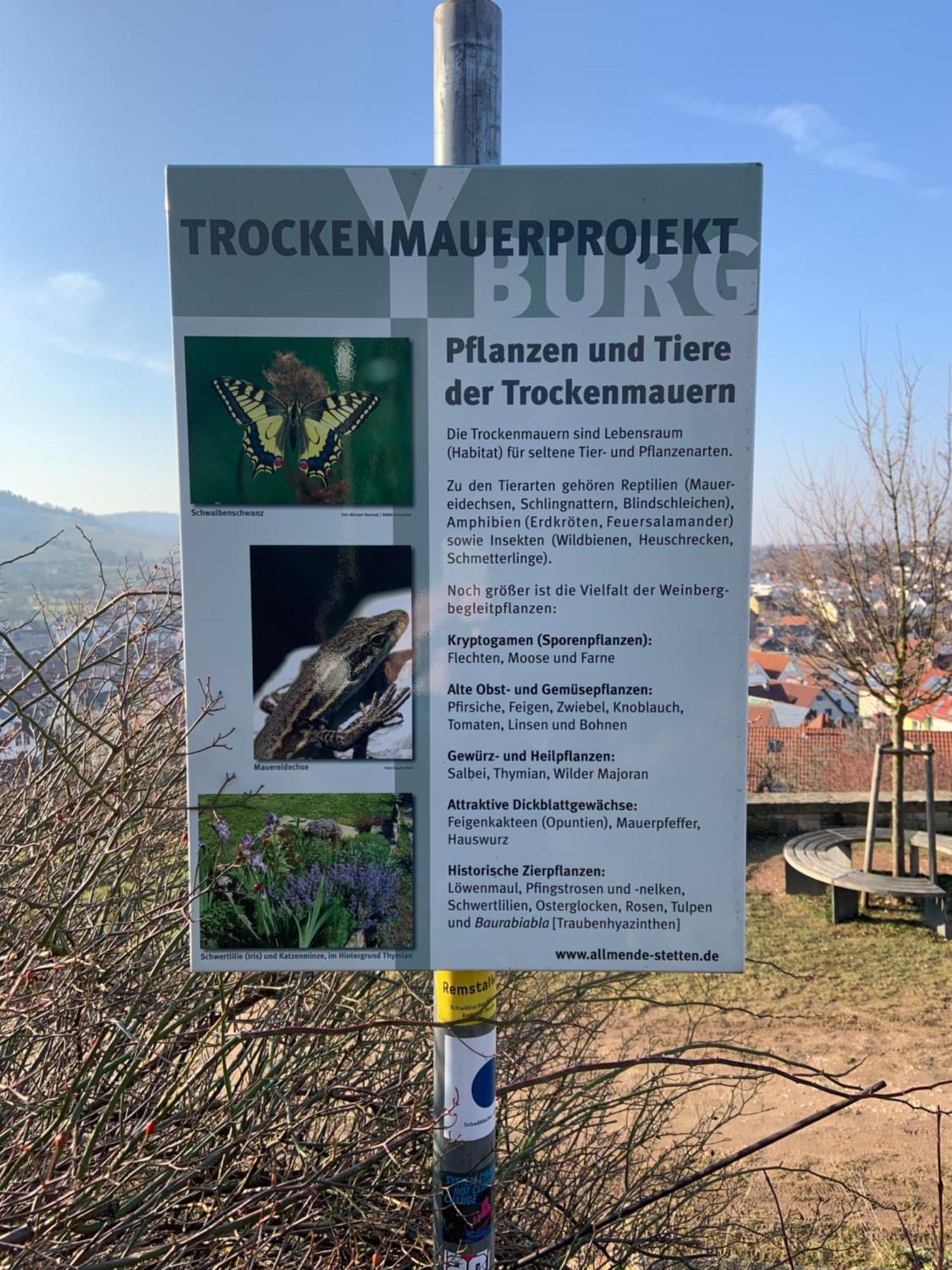 Unter Der Yburg Stetten Штеттен Экстерьер фото