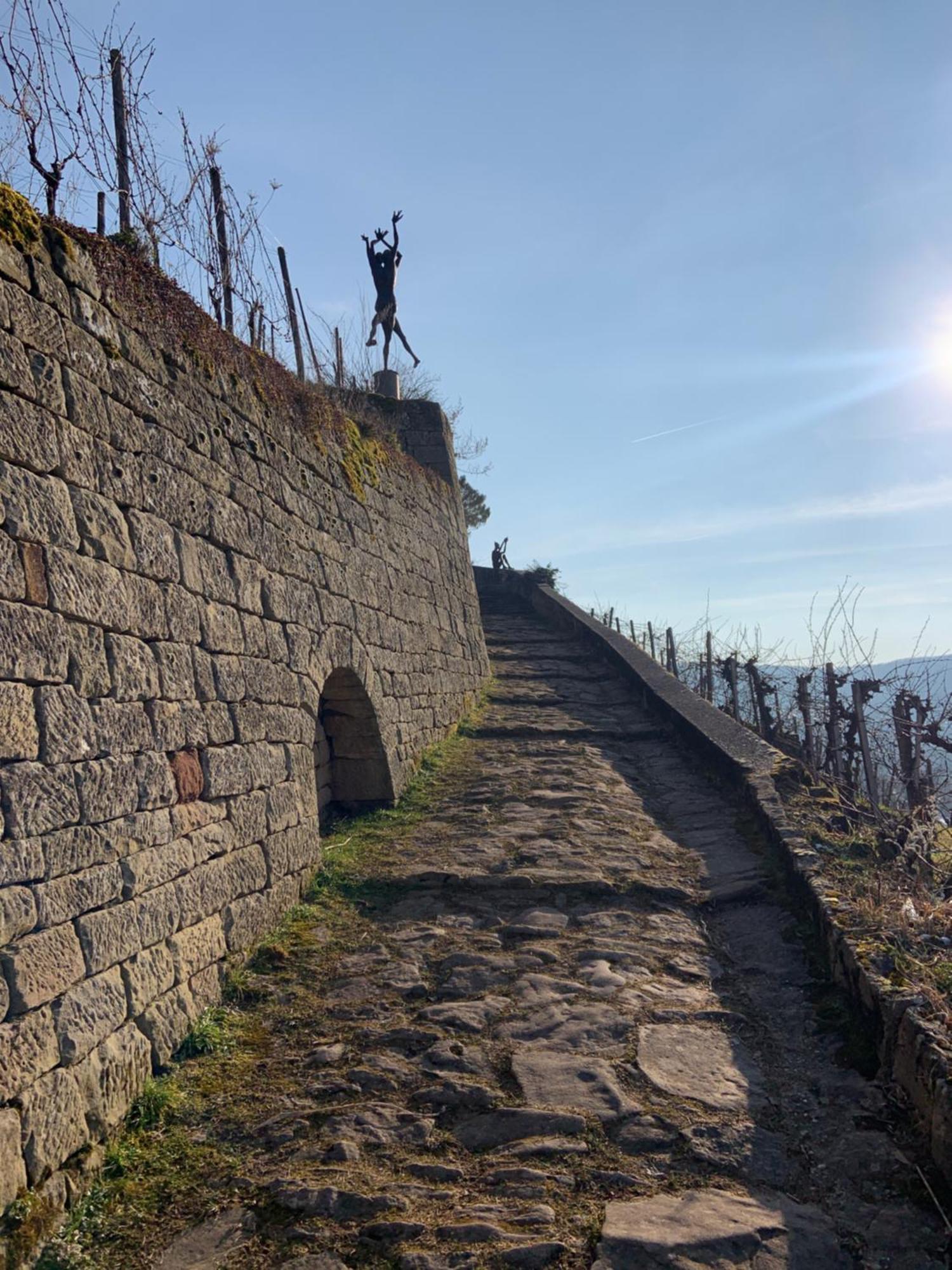 Unter Der Yburg Stetten Штеттен Экстерьер фото